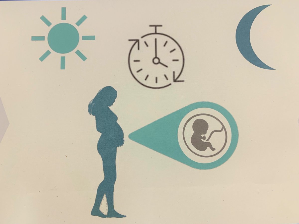 LongITools's tweet photo. How is maternal shiftwork in pregnancy related to child health? LongITools is at the Epigenomics of Common Diseases meeting in Hinxton, UK, with @i_fmarques and @JanineFF presenting work on maternal shiftwork in pregnancy &amp; child DNA methylation, a potential biological mechanism. https://t.co/rdRmnnkabB