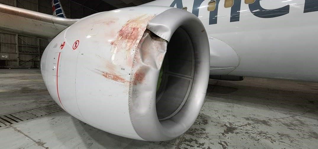 aviationbrk's tweet photo. American Airlines 737-800 significantly damaged following multiple bird strikes on approach to Kansas City Airport in Missouri on Tuesday. AA1855 from Chicago landed safely moments later. https://t.co/ZnuzVvi4rd https://t.co/Rnva8LwPWz