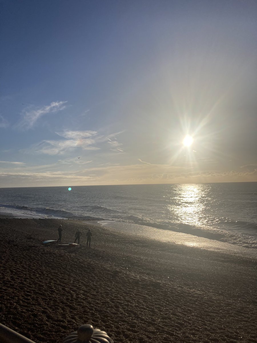 Judy Cogan tweet media