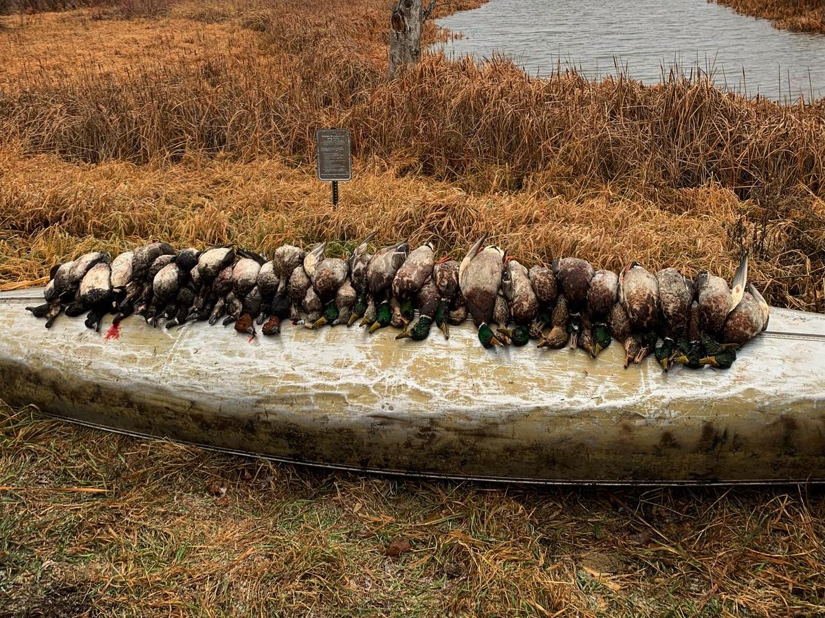 MinOutdoors's tweet photo. 9-man beat down in “blizzard” conditions in Minnesota! https://t.co/Sj80iS4wQs