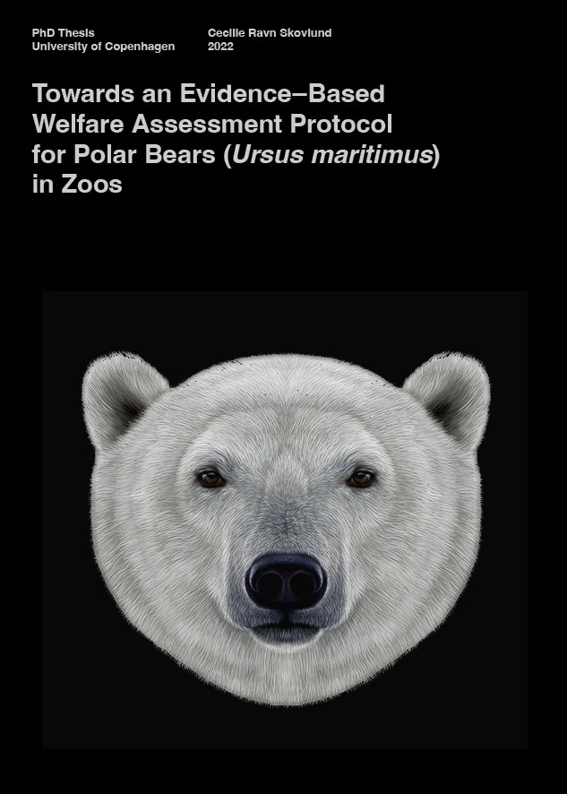 This week our talented <a href="/CecilieSkovlund/">Cecilie Ravn Skovlund</a> succesfully defended her PhD thesis on #welfare #assesment protocol for #polar #bears in #zoos 🐻‍❄️

Congratulations from all of <a href="/CopenhagenZoo/">Copenhagen ZOO</a> 🎉