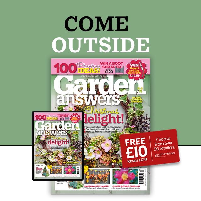 FREE £10 retail eGift voucher offer ending TODAY! Receive this welcome gift when you take out an annual package subscription to Garden Answers. View offer NOW! bit.ly/3EngxYd