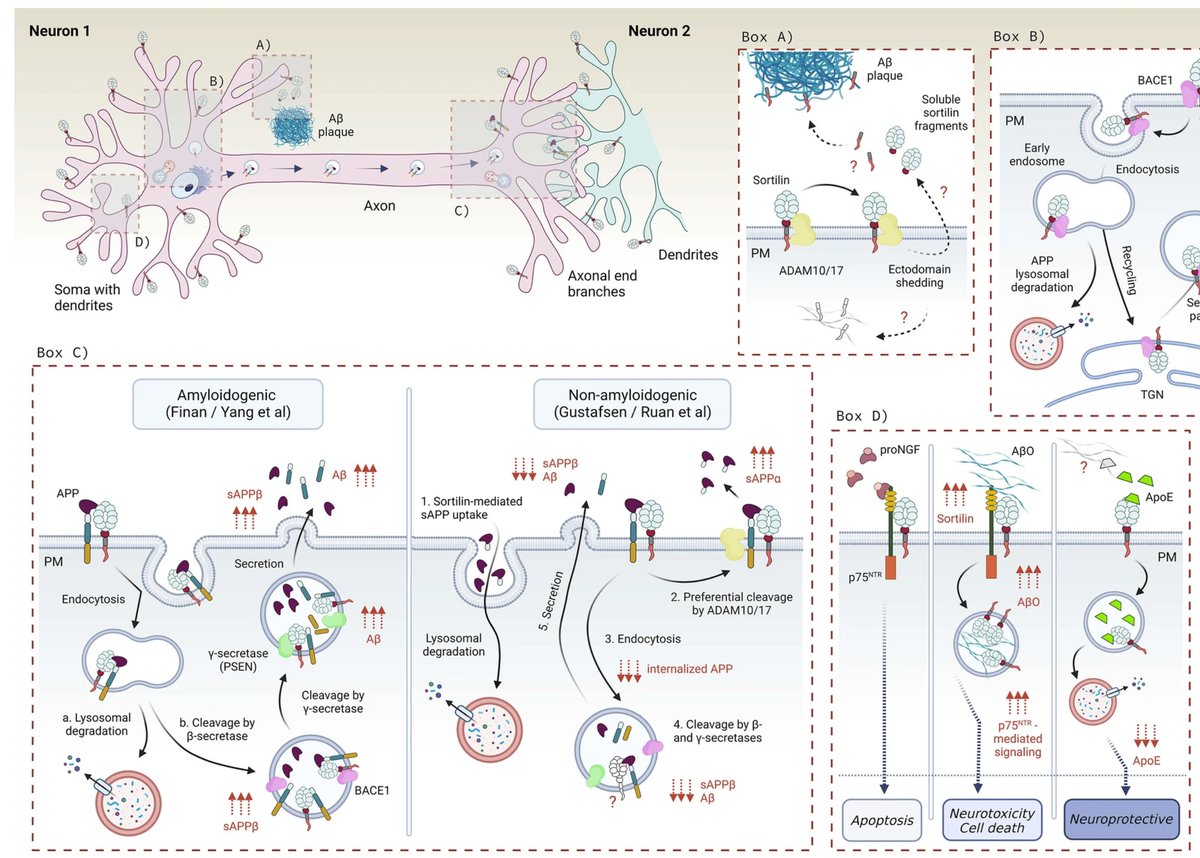 Molecular Neurodegeneration tweet media