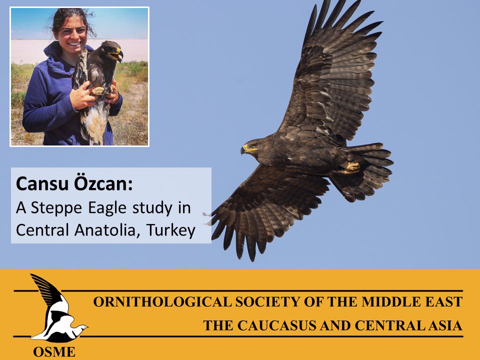 There’s still time to join join tomorrow’s online Winter Meeting 
Register here: us02web.zoom.us/meeting/regist…

<a href="/kzlgrdn/">Cansu Özcan</a> will be discussing her excellent work on Steppe Eagles in Turkey