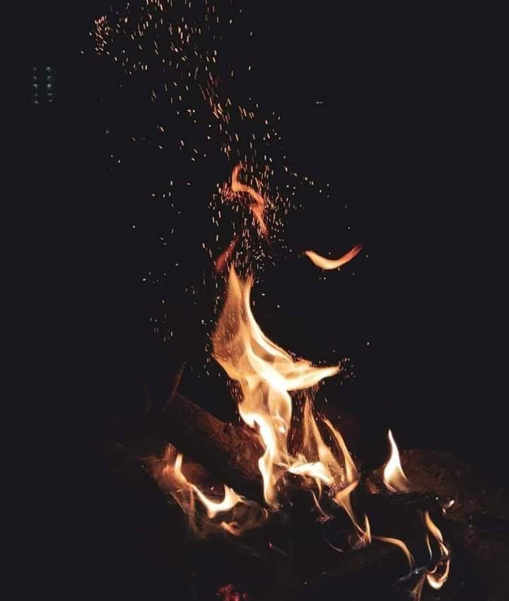 ElhamMsafyr's tweet photo. اسولې مې غزونو ته ځان جوړ کړ 

زړه په دواړه لاسه ونیسه ماښام شو

@ElhamMsafyr https://t.co/ZkR92yfFSm