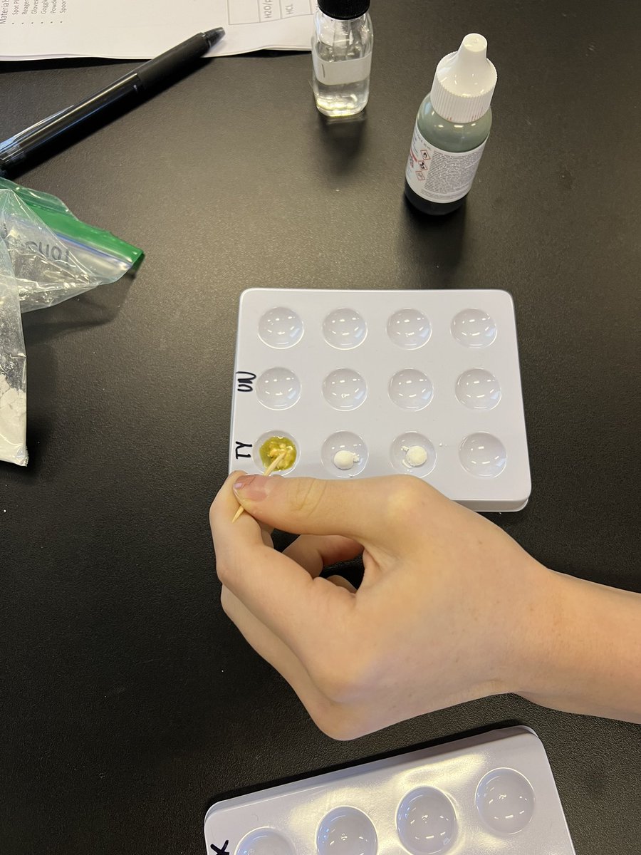 BrainyBio_Bunch's tweet photo. @WarhillHigh @PLTWorg Ss tested to find out what was in Anna’s stomach.  They are getting closer and closer to finding out what happened to Anna! https://t.co/T03tlvZ9S3