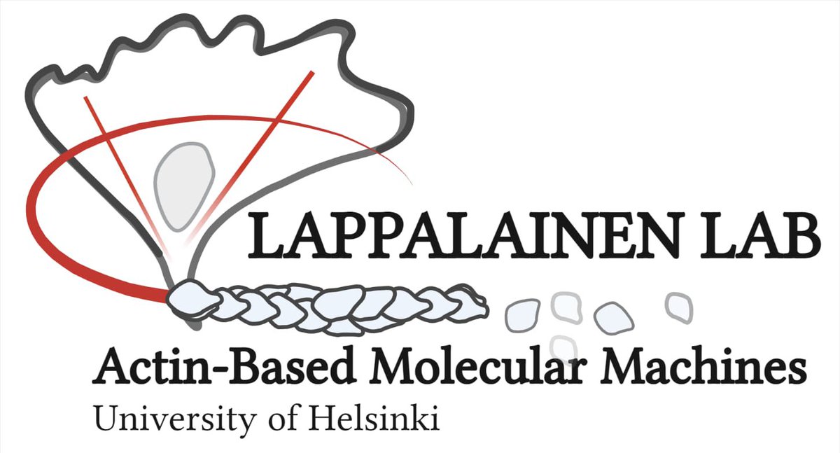 If you see the actin monomers falling off, it’s not a bad sign. It’s just actin disassembly. #PunIntended 🥁 P.S. here’s our logo, correspondence to <a href="/reenak52086225/">Reena</a>