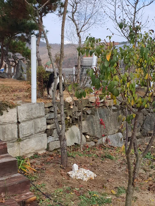 코코 만나고 왔어 