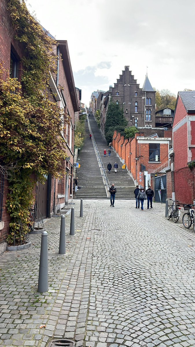 webswalker's tweet image. #kuitenbijter