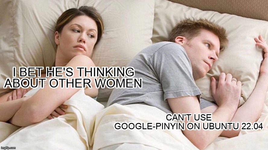 askubuntumemes's tweet image. Can't use google-pinyin on Ubuntu 22.04 askubuntu.com/questions/1423… #chinese #inputmethod #fcitx #pinyin
