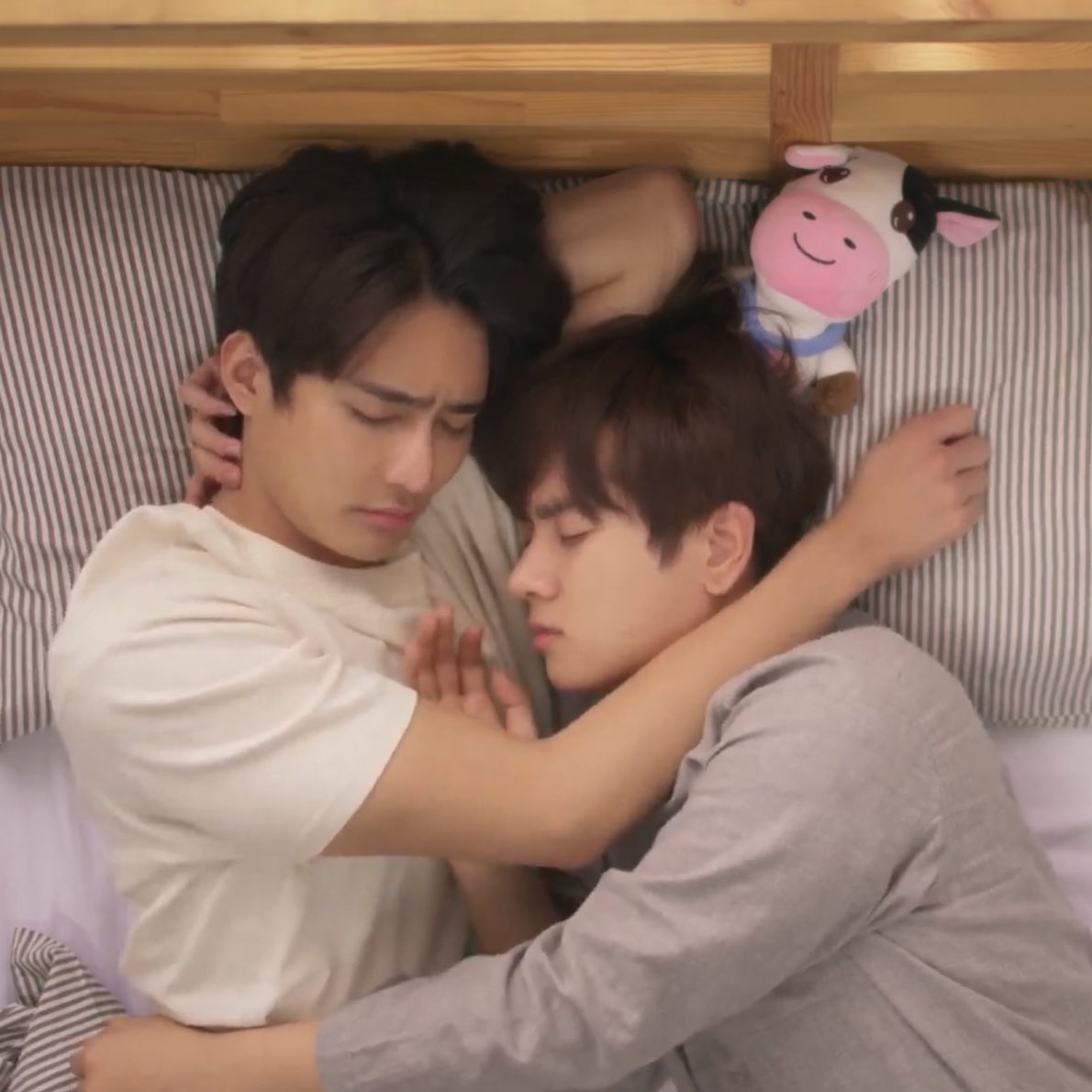 theearthemix's tweet photo. they are SO CUTE 🥺🥺🥺 https://t.co/ZtjXrbCa3v