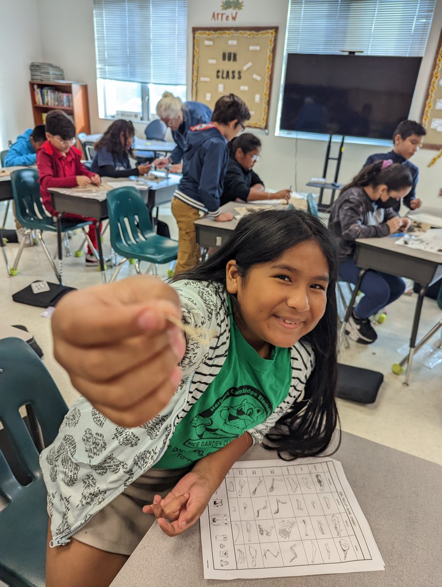 Ottersof4th's tweet photo. I got to pop in while some of the best "Scientists in Training" were dissecting owl pellets! Such a cool day in 4th grade at @hceotters https://t.co/rEIKbl8gKW