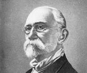 Un día como hoy nace Máximo Gómez Báez fue un militar dominicano de la Guerra de los Diez Años y el general en jefe de las tropas revolucionarias cubanas en la Guerra de Independencia cubana.
#obduliomoralestorresescambray
#EducaciónVillaClara #DpeVillaclara #EducaciónManicaragua