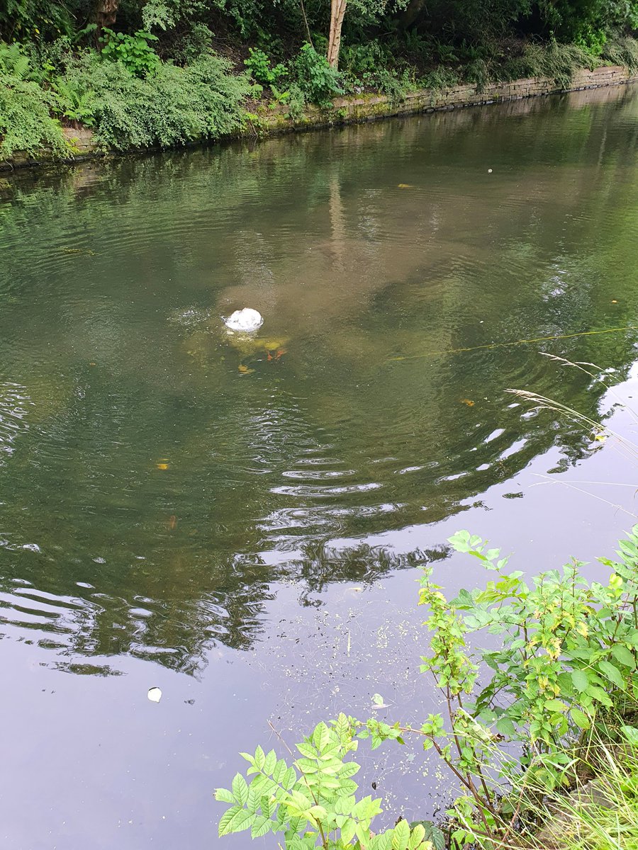 NWPoliceDivers's tweet photo. Out and about in Merseyside supporting colleges of #Merpol #OpSeptre #princespark @MerPolCityCen @MerpolSthSefton @MerPolSthLpool https://t.co/meMHqEw4we