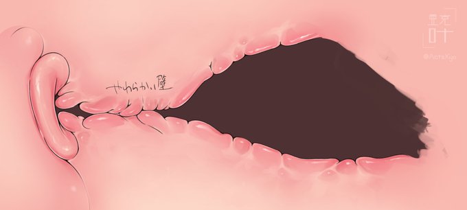 何種類か塗ってみて今はこれがマイブーム
やわらかさ当社比40%アップな感じ 