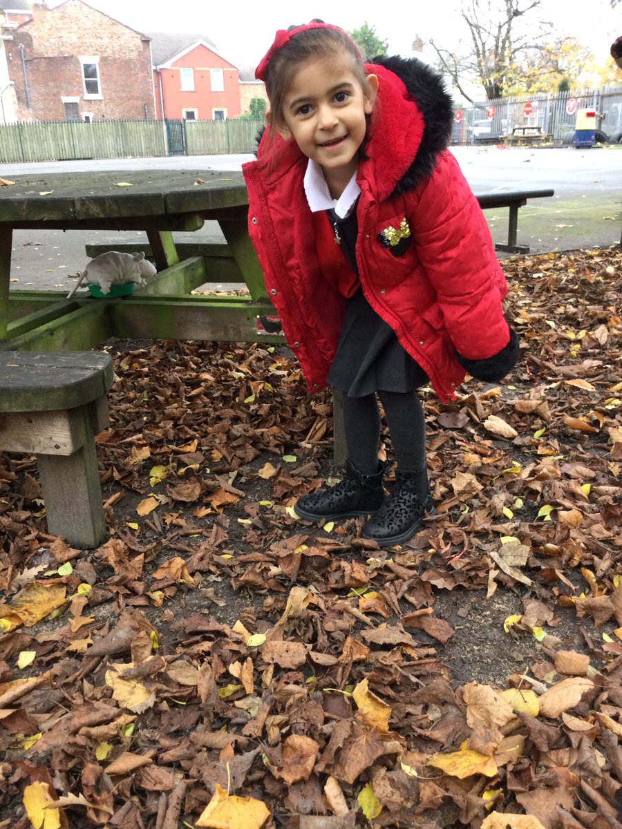 stclareslpool's tweet photo. EYFS discovered some woodland animals hiding in our woods, we were very careful not to disturb them π€« #eyfs #reception #nursery #exploringautumn https://t.co/9yFWIaF3aM