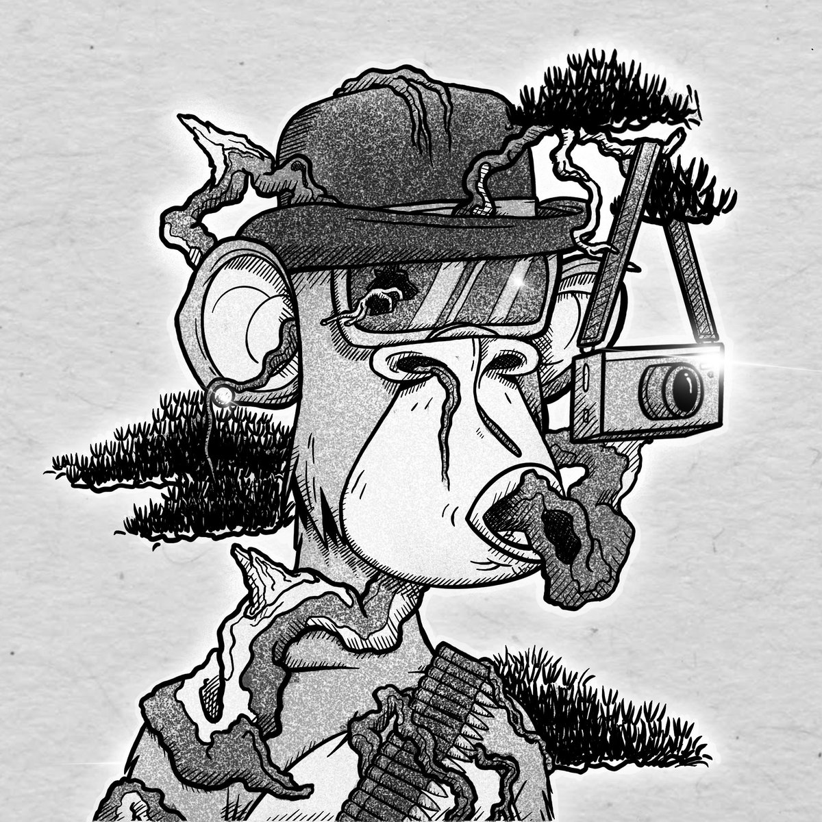 papalolo.eth 💎 tweet media