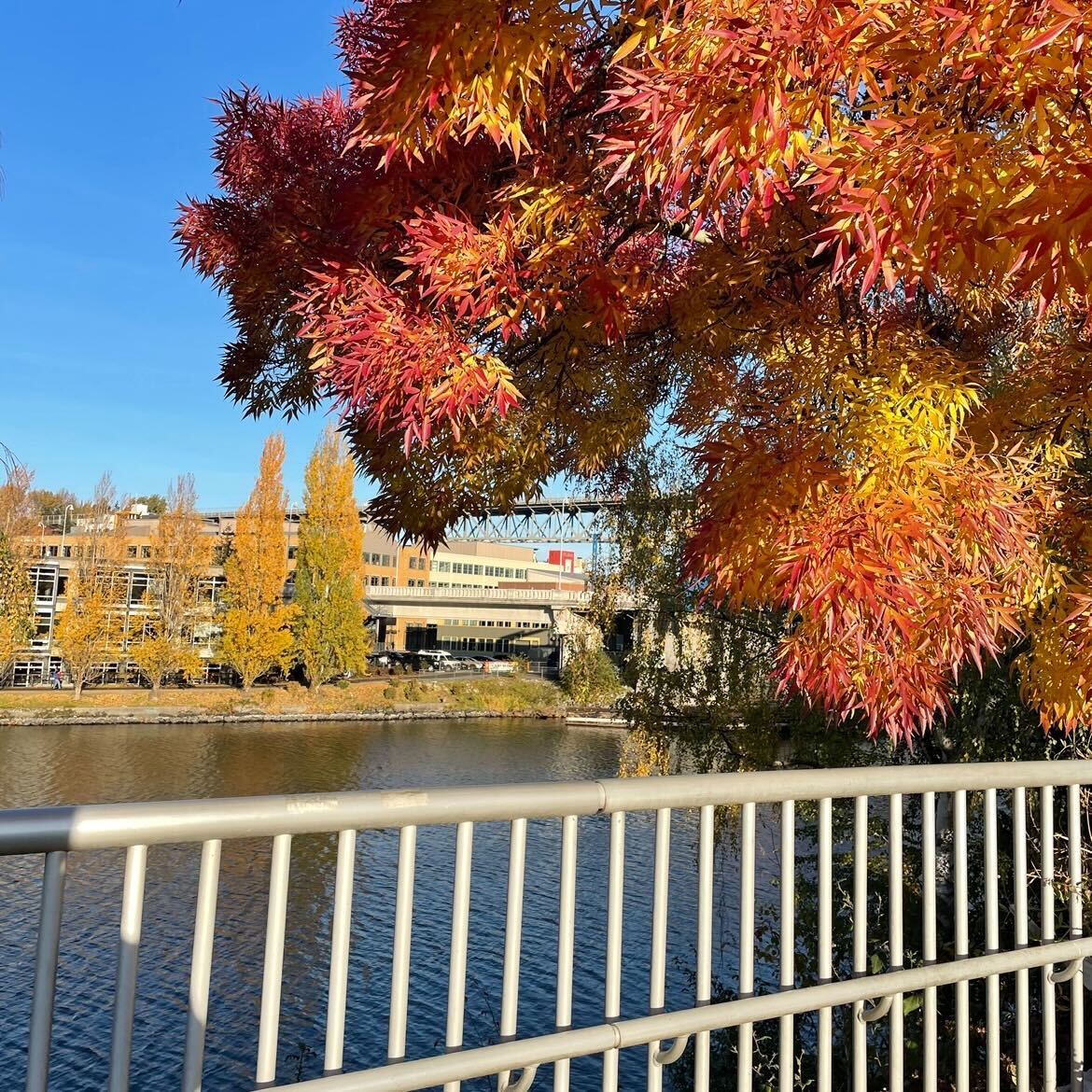 SeattleHashtag's tweet photo. It's a beautiful Fall Friday in Fremont! We hope you all have a great weekend 🧡
.
.
.
#seattlewa #seattlefall #redmondwa #everettwa #fremontseattle #i502 https://t.co/h7eM30upd9