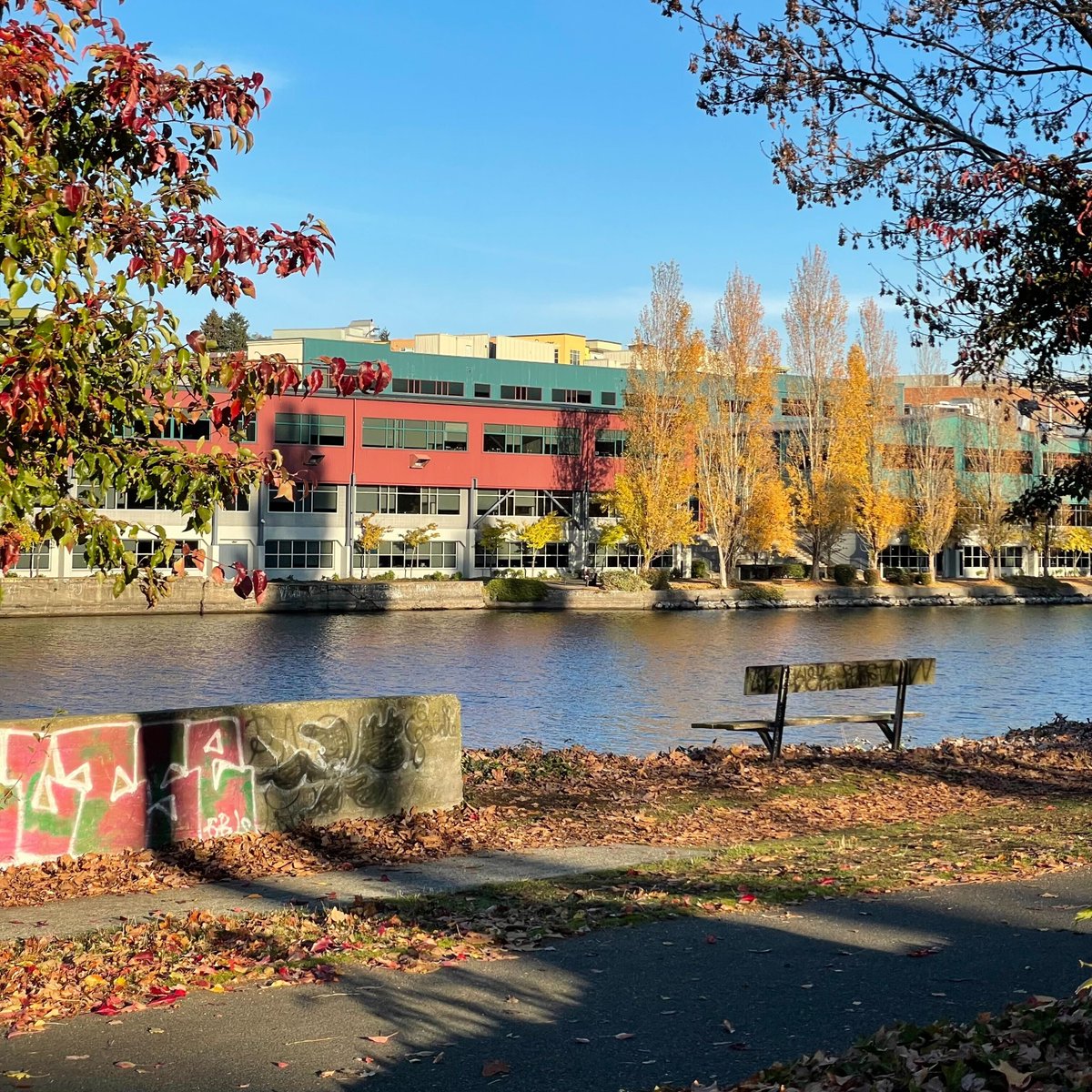 SeattleHashtag's tweet photo. It's a beautiful Fall Friday in Fremont! We hope you all have a great weekend 🧡
.
.
.
#seattlewa #seattlefall #redmondwa #everettwa #fremontseattle #i502 https://t.co/h7eM30upd9