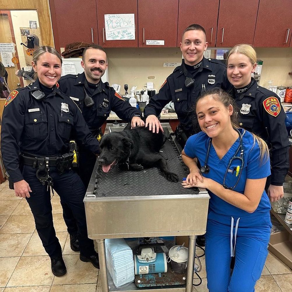 Suffolk County Police Department on Twitter: Suffolk County Police Department on Twitter: