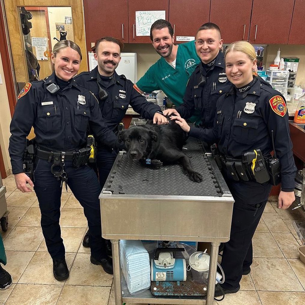 Suffolk County Police Department on Twitter: Suffolk County Police Department on Twitter: