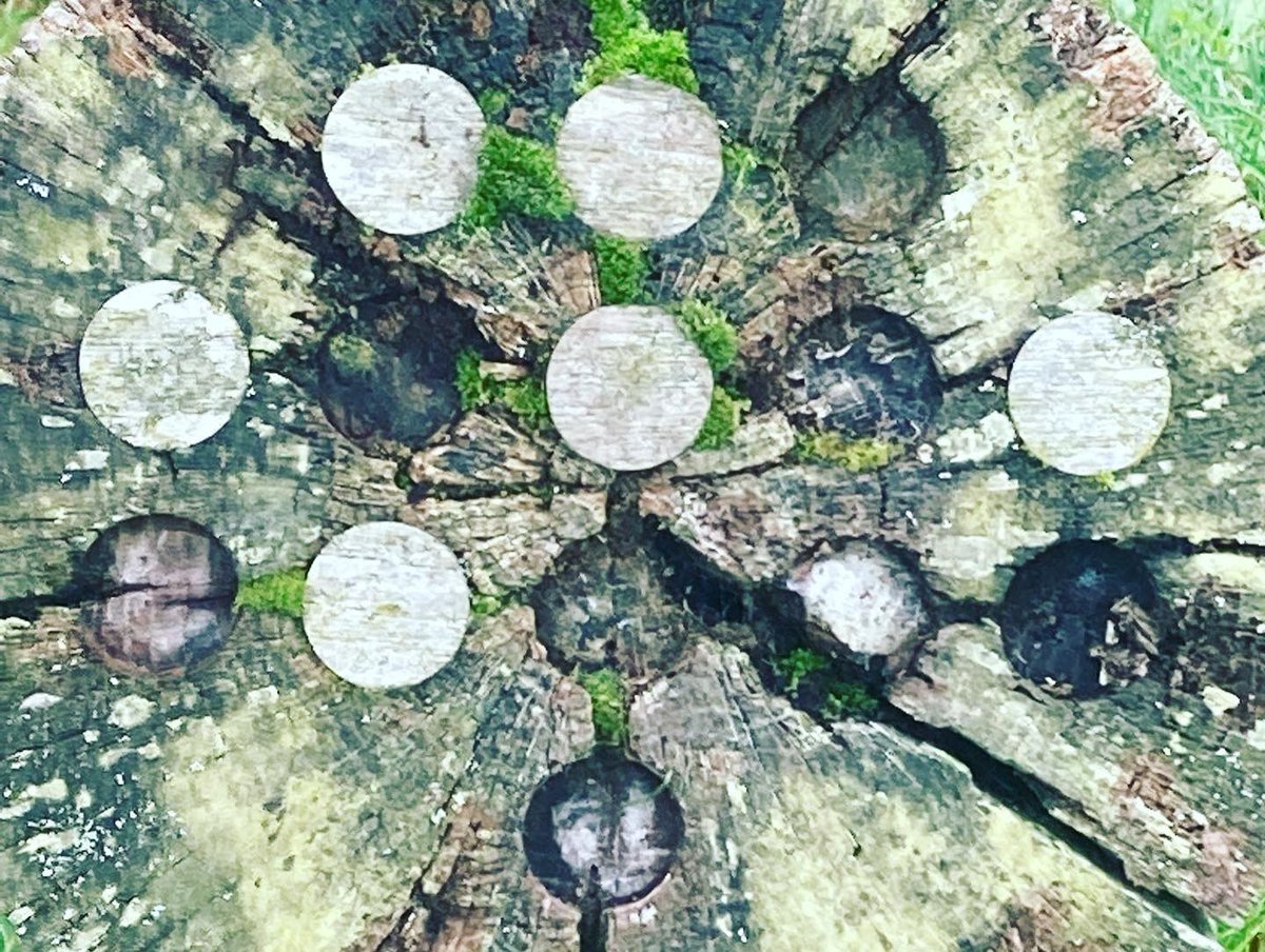 _CREC's tweet photo. #MathsWeekEngland #mathsweek2022 has been inspirational at CREC, weβve been spotting numbers and patterns EVERYWHERE π ββββοΈπ° https://t.co/mX7ZFhoUNS