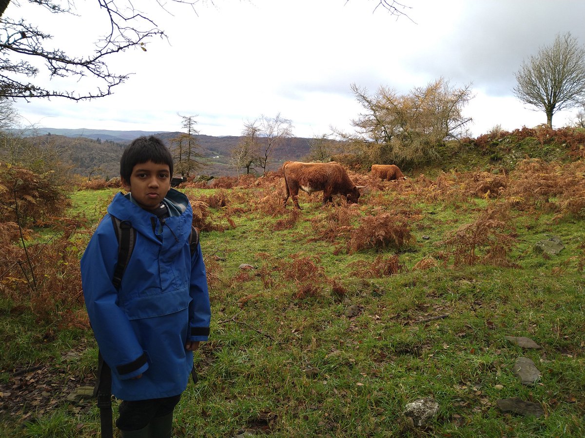 misswall9's tweet photo. On our way up Gummer's How https://t.co/WC8aVQ80s5