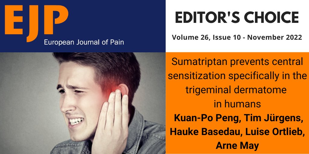 European Pain Federation EFIC® tweet media