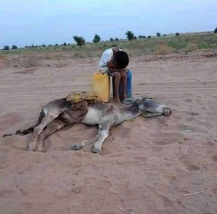 Boni_Maina's tweet photo. It's disappointing that EU proposal on loss and damage funding is ‘wolf in sheep’s clothing a closer look reveals so many conditions in the package ~ ActionAid International 
#PayUp4LossAndDamage 
#ClimateReparationNow https://t.co/1r5OTJ0e24