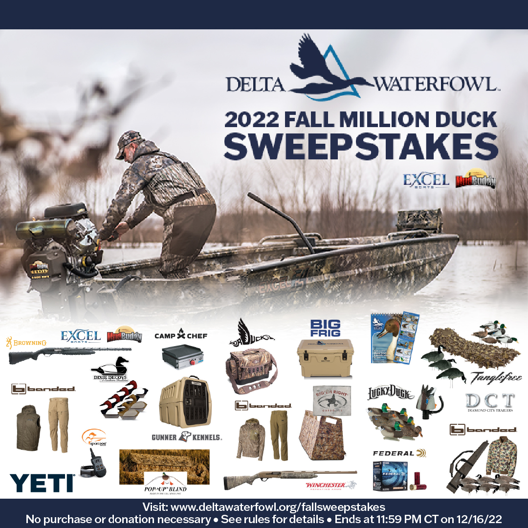 DeltaWaterfowl's tweet photo. The clock is ticking. Will you be a winner? Visit https://t.co/lo6ZiZ3N0P
@SportDOGBrand @TFh20fowl @Gunner_Kennels  @bigfrigoutdoors @camp_chef @DixieDecoys @drduckco @RigEmRight @YETICoolers @FederalPremium @BrowningArms  @BandedBrands
#mudbuddymotors #ExcelBoats #POPupBlinds https://t.co/BPfE9eo3gb