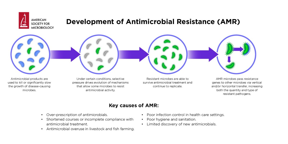 ASMicrobiology's tweet photo. Today kicks off World Antimicrobial Awareness Week! @WHO projects the terrifying prospect of 10 million annual antimicrobial resistance-related deaths globally by 2050. Learn about the issue of #AMR and potential solutions on ASM's resource page: https://t.co/SIfHakbrRA #WAAW2022 https://t.co/7LsmNsHrwA