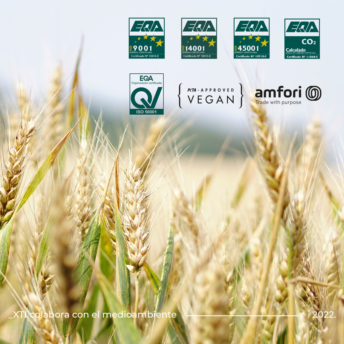 En nuestro trabajo, el continuo cuidado del entorno que nos rodea es imprescindible 🌏❤ Es por ello que disponemos de diversos certificados que corroboran este empeño. ¿Lo conocías? Entra en nuestra web para saber un poco más.

#xti #xtishoes #newcollection #newin #autum #otoño