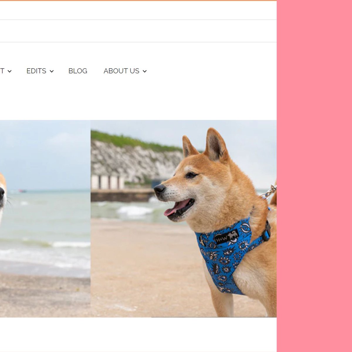 maake - previously Fashion Formula tweet media