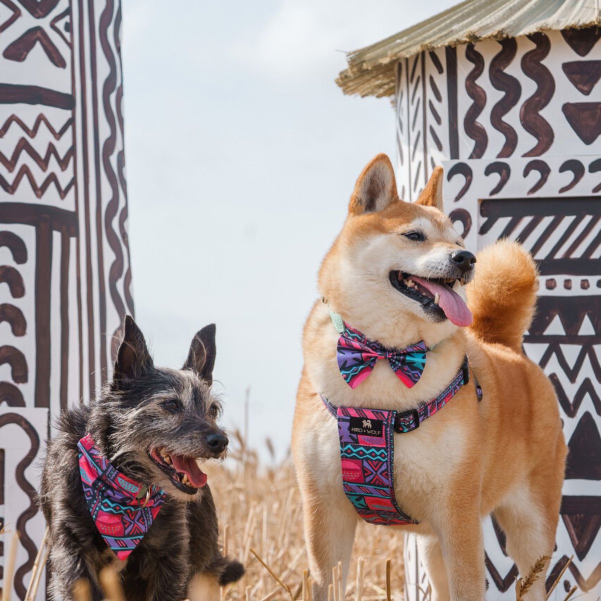 maake - previously Fashion Formula tweet media