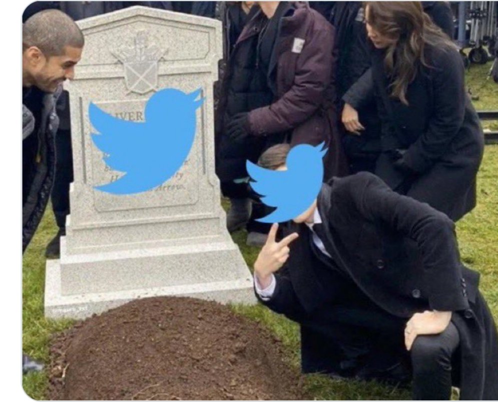 mobilitycat's tweet image. Elon Musk kills Twitter and buries it.