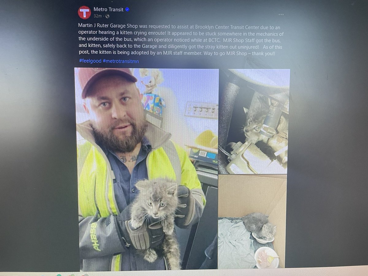 kevinmjack's tweet image. Great work by @MetroTransitMN staff for rescuing this kitten. As a cat owner and lover, I’m glad that the kitty was rescued safely and adopted! #MetroTransitMN