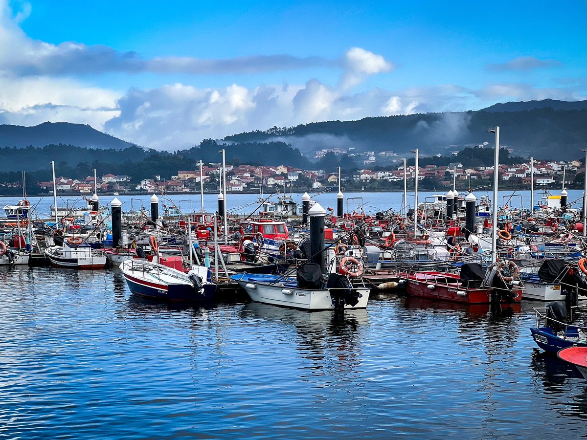 Sumergiéndonos en el arte del marisqueo a pie y a flote, conociendo su rectitud en el proceso de trazabilidad y análisis genético, el exhaustivo control de seguridad alimentaria y las investigaciones que realizan en torno al bivalvo rey de la zona, una auténtica maravilla.