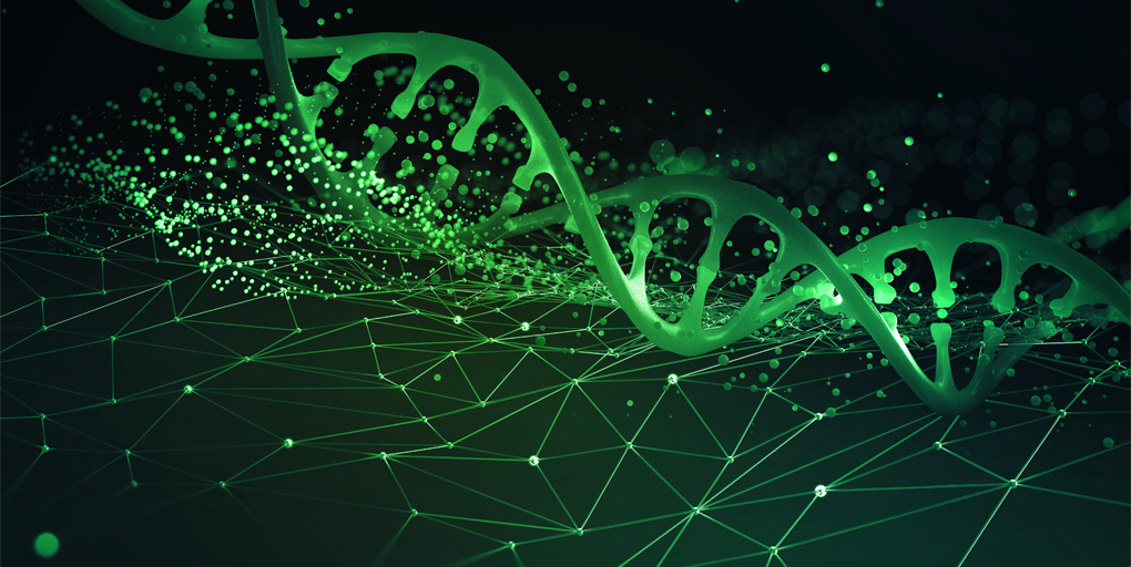 CD_AACR's tweet photo. Read this week's Cancer Discovery #ResearchWatch:
#MACHETE Reveals Large 9p21.3 Deletions Mediate Immune Evasion and #Metastasis, a summary of the paper by @barrigafm, @ktsanov, @LoweLabMSKCC et al.
https://t.co/0MN79hwajf
@MSKCancerCenter https://t.co/ivxaSEctvX