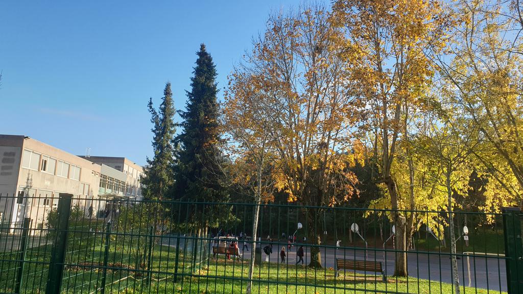 EMI_CLEMI Dijon tweet media