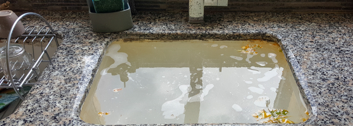 RosieontheHouse's tweet image. Coming up tomorrow:
8 am: Outdoor Living Hour - Notes from the Nursery: #PlantTrees&amp;amp;Shrubs
9 am: On the House Hour - DO Let Your Holiday Plans Go Down The Drain (bit.ly/3hPsCh1)
10 am: Open Home Hour - #WorkspaceLighting

Join the convo live by calling (888) ROSIE-4-U