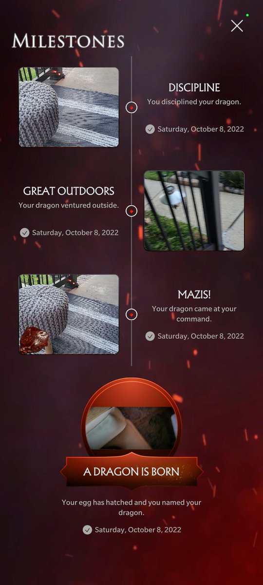 thisfinch's tweet photo. #dracarysapp a milestone list 🔥🐉 https://t.co/dSAlQwQy6g