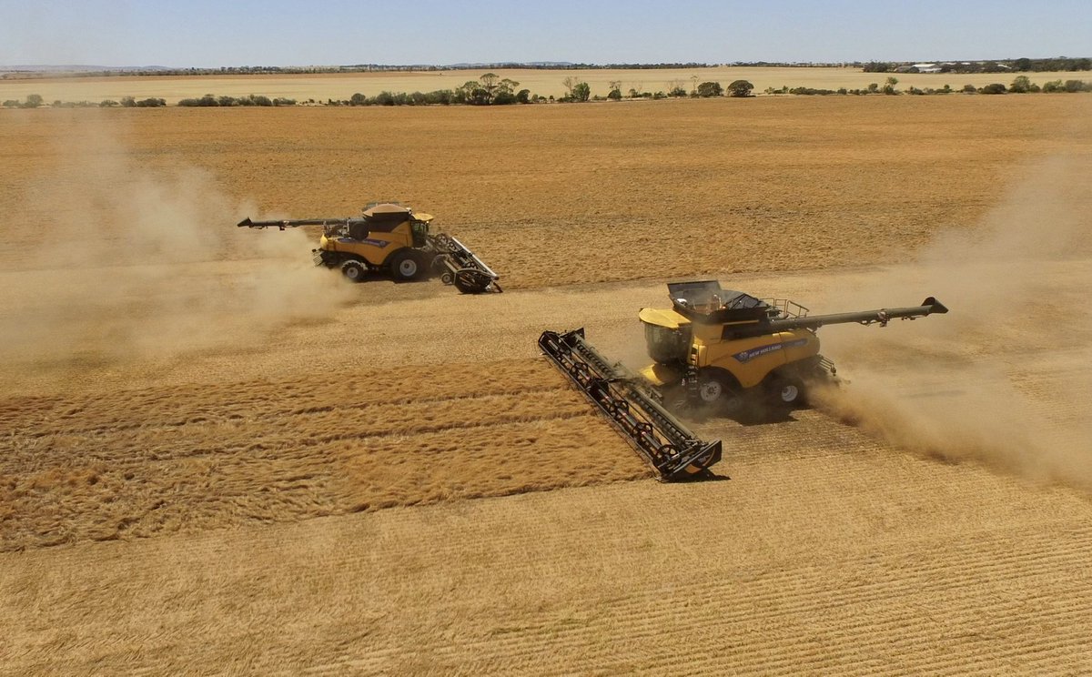 Why does #AgDayAU not have a place amongst our schools? They manage to bring awareness to most other events. Australian Ag is forthcoming for many young kids and should be recognised <a href="/BlairBoyer/">Blair Boyer</a> @FraserNarungga