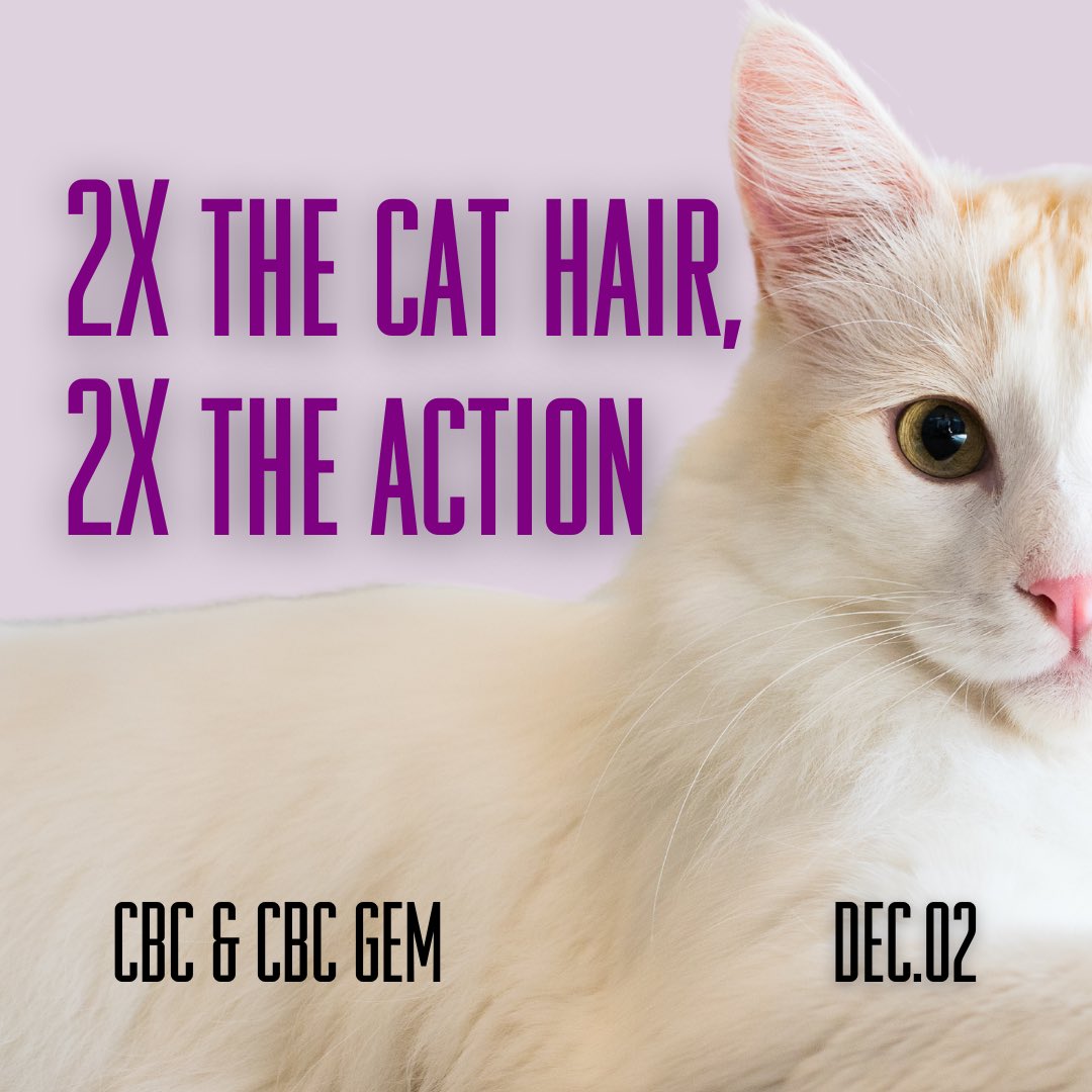 We’re only 2 weeks away!! 😻 Can’t wait for our Canadian streaming premiere!! 

We recommend checking out our first film Catwalk: Tales From The Cat Show Circuit on <a href="/cbcgem/">CBC Gem</a> in preparation 😉😺