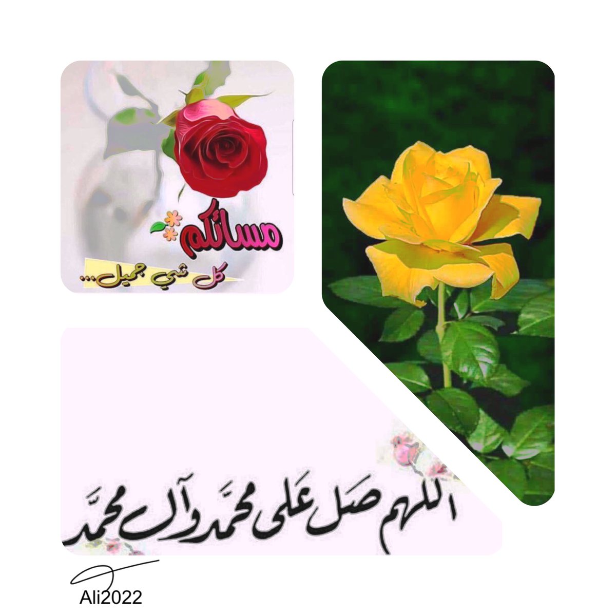 مسائكم كل شي جميل ….🩸