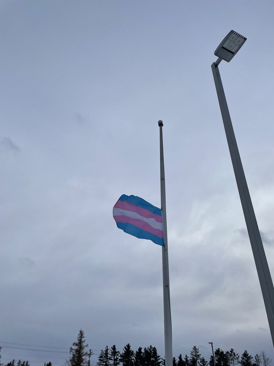 SCDSB DEI/ML Department tweet media