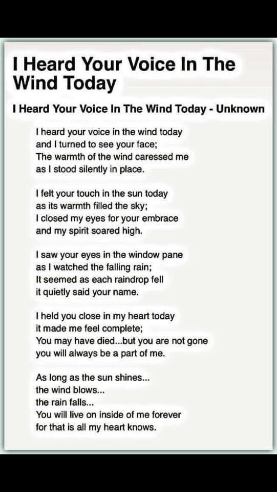 4bruce7's tweet photo. I Heard Your Voice in The Wind Today. https://t.co/CfDBhTMT5y