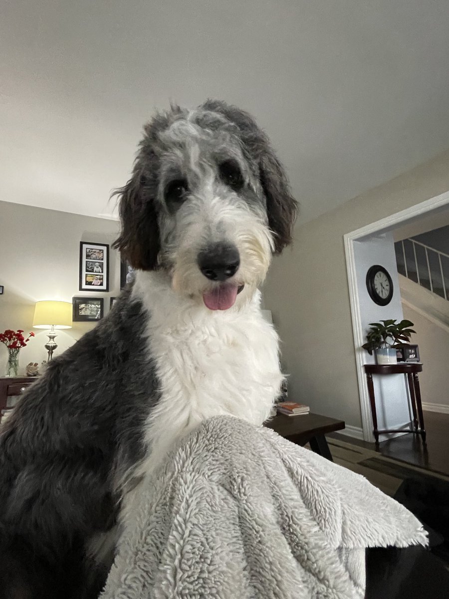 No Mom, you can’t sit down and relax for five minutes on a Friday. 🤦‍♀️