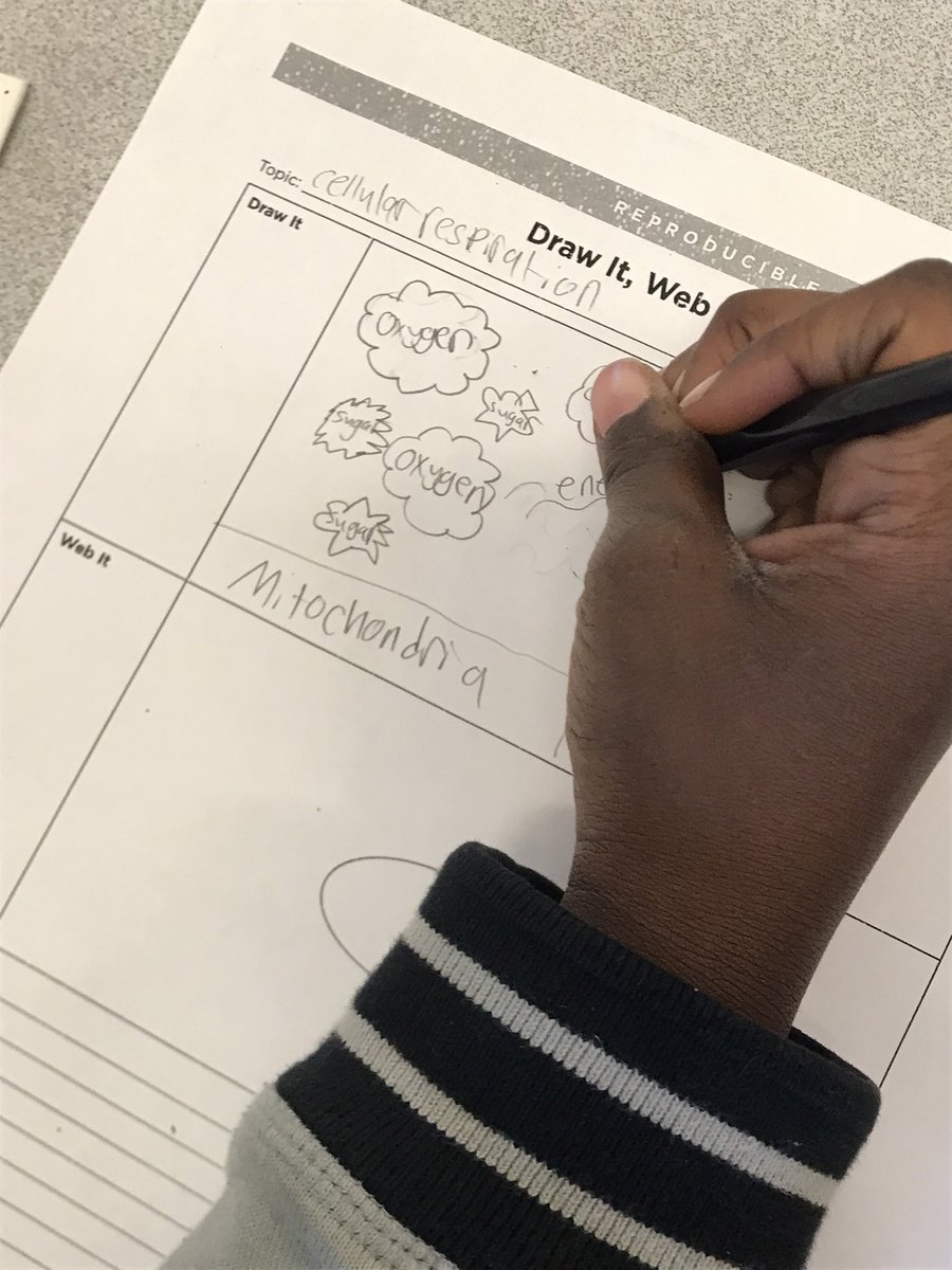 You Choose Exit Ticket…draw, web, or write your answer to the lesson’s essential question. <a href="/MPTimberwolves/">Manchester Park Elementary</a> #mpconfident <a href="/lnickelsen1/">LeAnn Nickelsen M Ed</a> <a href="/mdickson221/">Melissa Dickson</a>