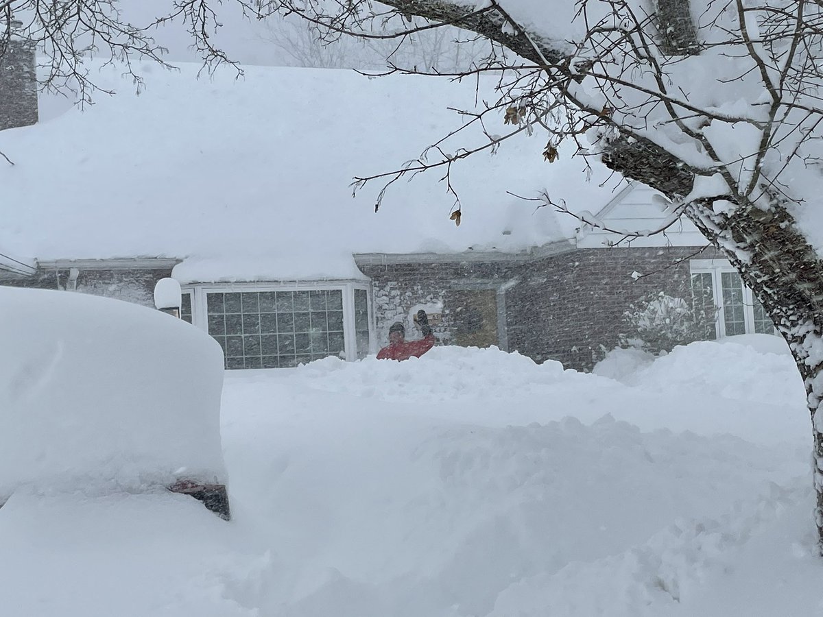 David Kinkela tweet media