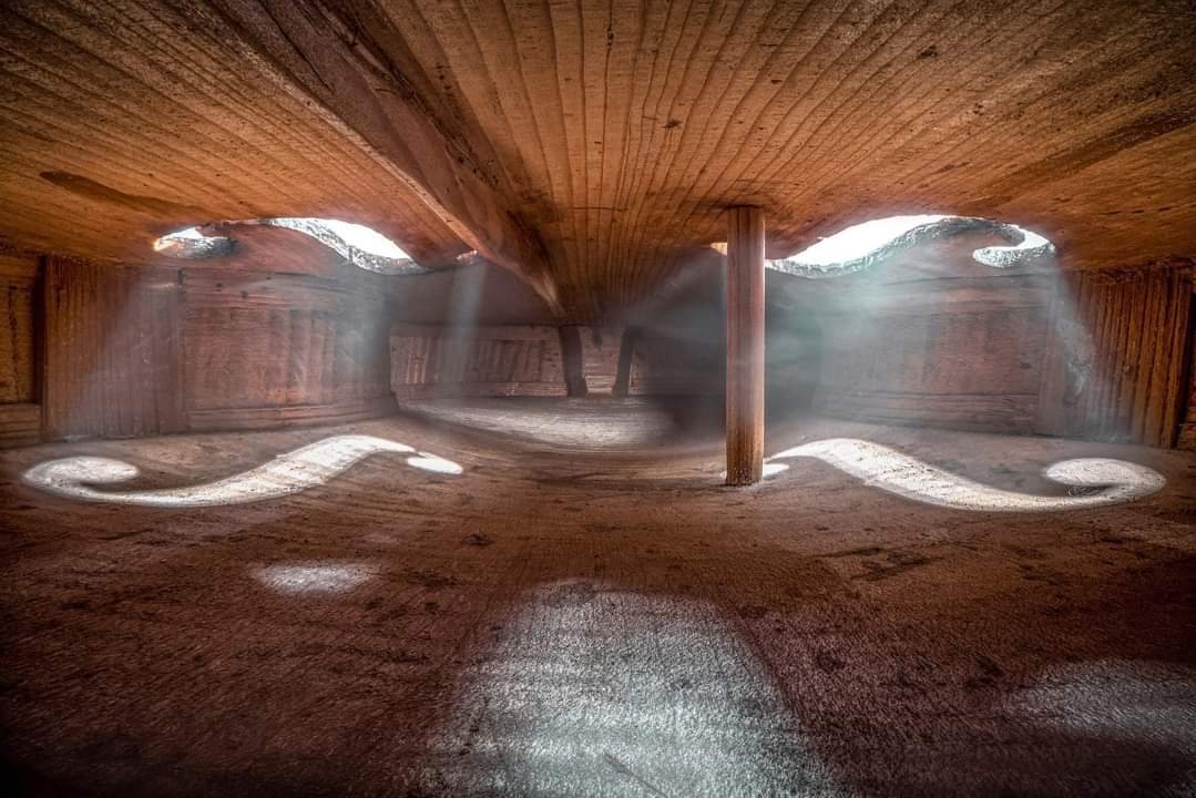 L'intérieur d'un violon 
Artiste Charles brooks